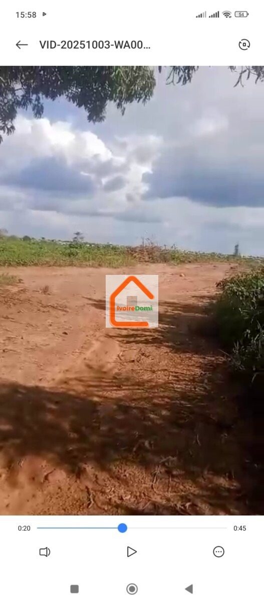 À VENDRE – 4 PARCELLES À DALOA – 2 000 000 FCFA CHACUNE.