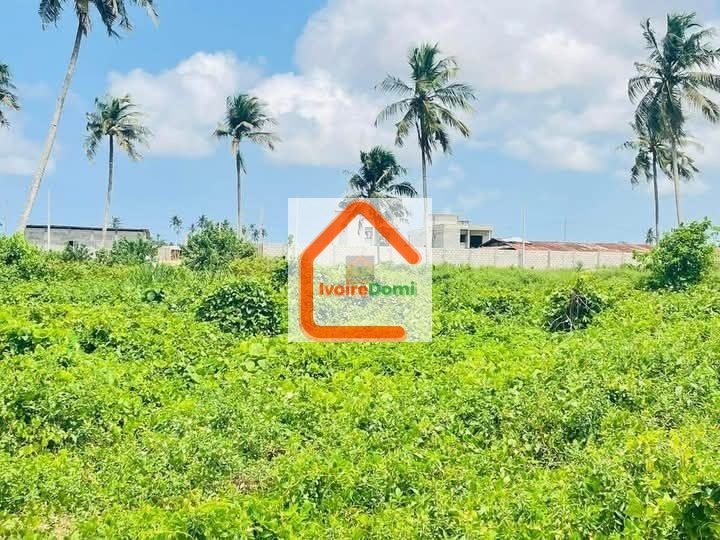 Terrain en vente pied dans l’eau à Bassam vitré 1 en bordure de la voie menant au BAC à 2k