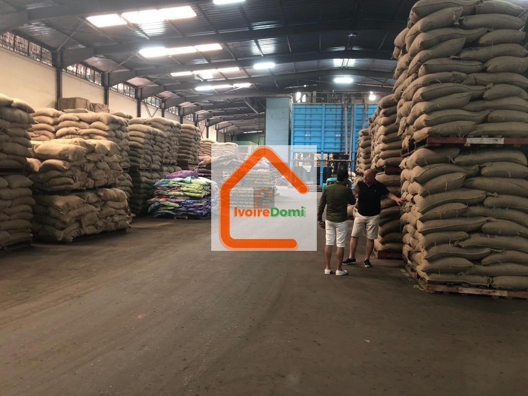 À VENDRE – Usine de transformation de cacao et café San Pedro Opportunité industrielle
