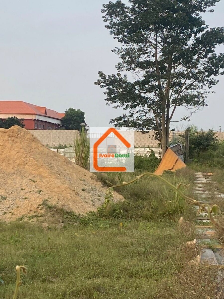2 lots de 600 m² en vente à ANGRE