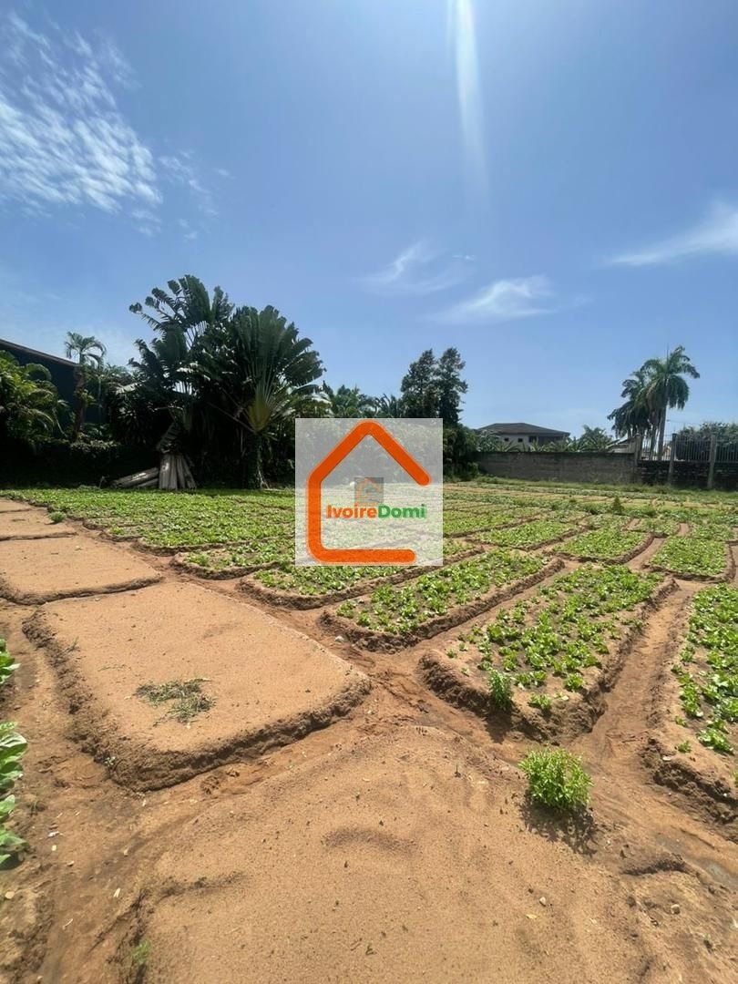 VENTE, COCODY – RIVIERA GOLF 1, Un terrain de 1.500M² Terrain nu idéalement.