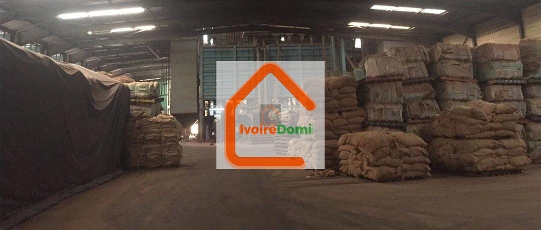 À VENDRE – Usine de transformation de cacao et café San Pedro Opportunité industrielle