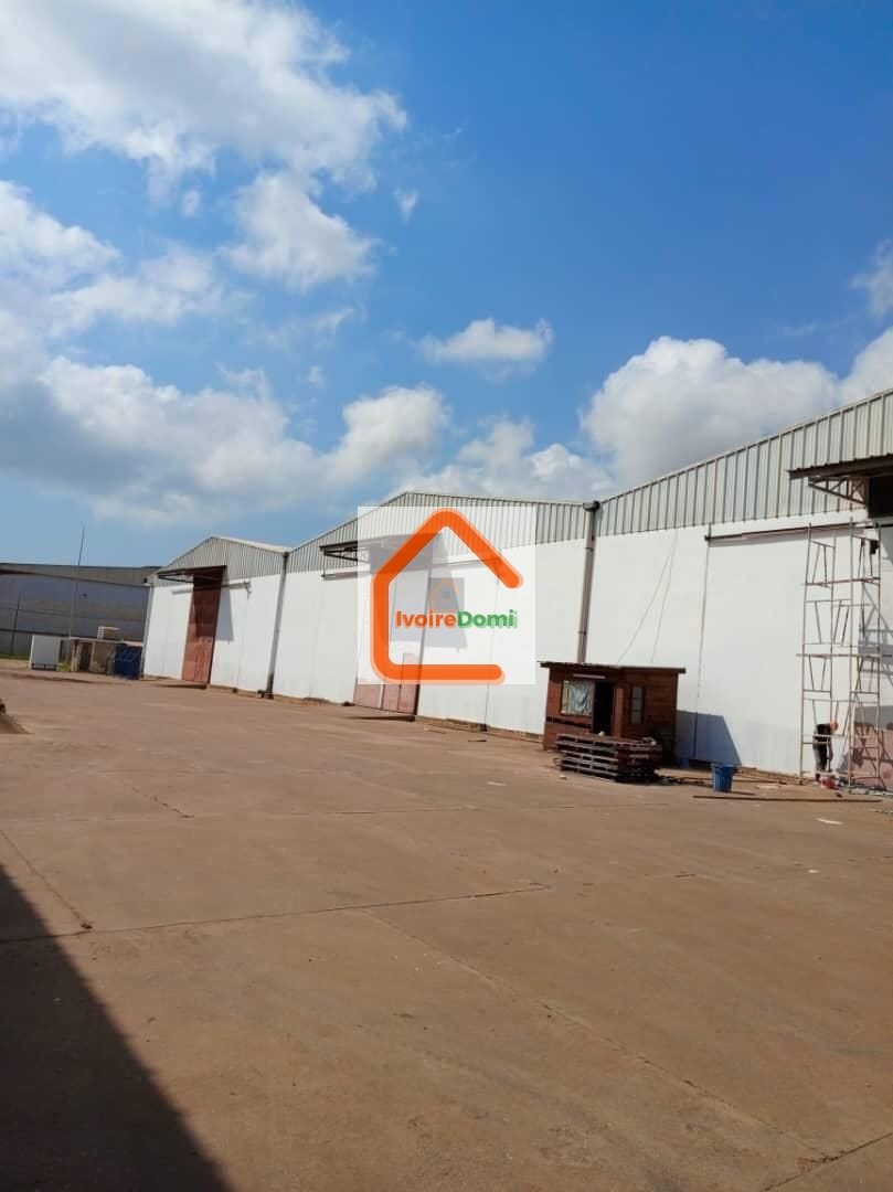 À VENDRE – Usine de transformation de cacao et café San Pedro Opportunité industrielle