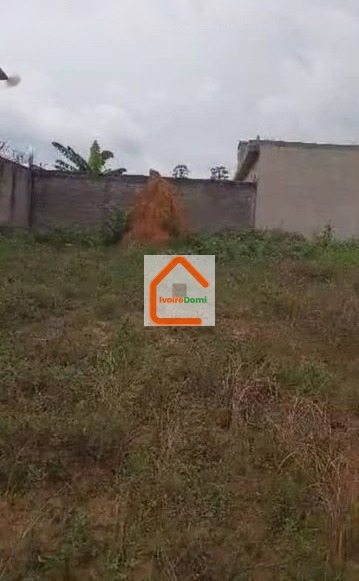 Terrain 2lots collés 600m² ACD -Cocody-Angré Djorogobité