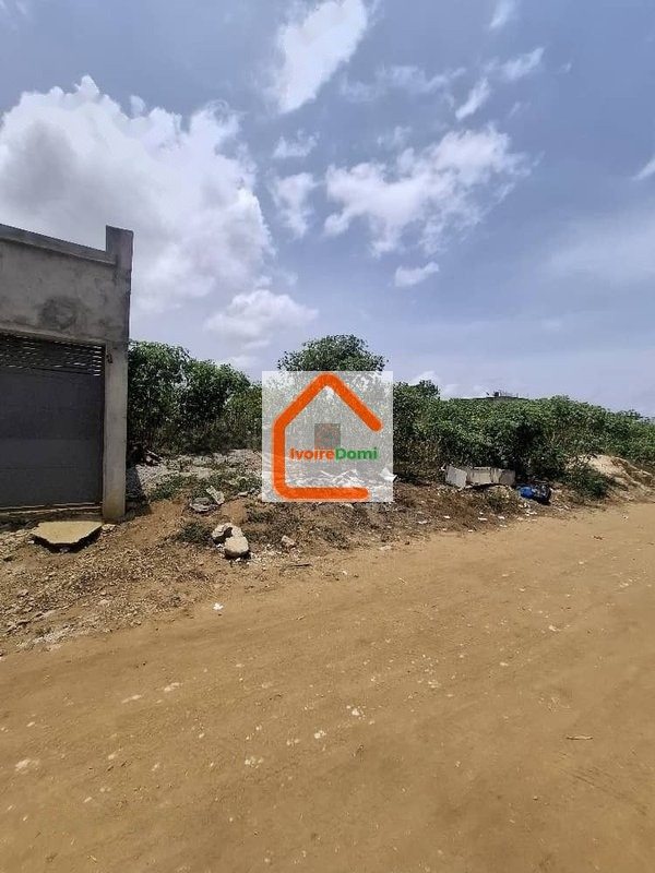 Terrain 500 m²+ -Bingerville