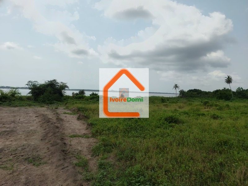 Terrains 4lots 500m² -Bingerville