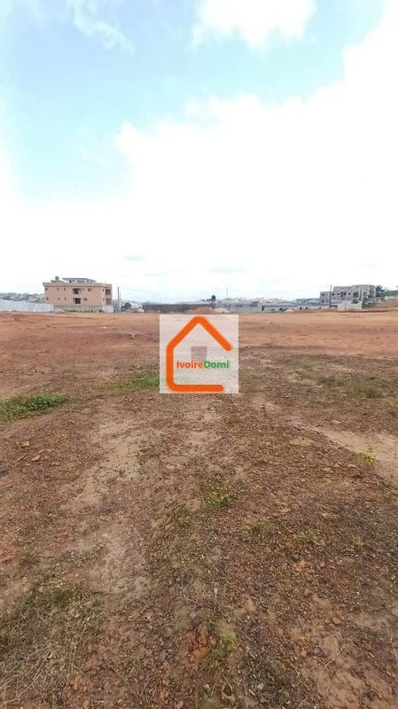 Terrain 8000 m² + Bingerville