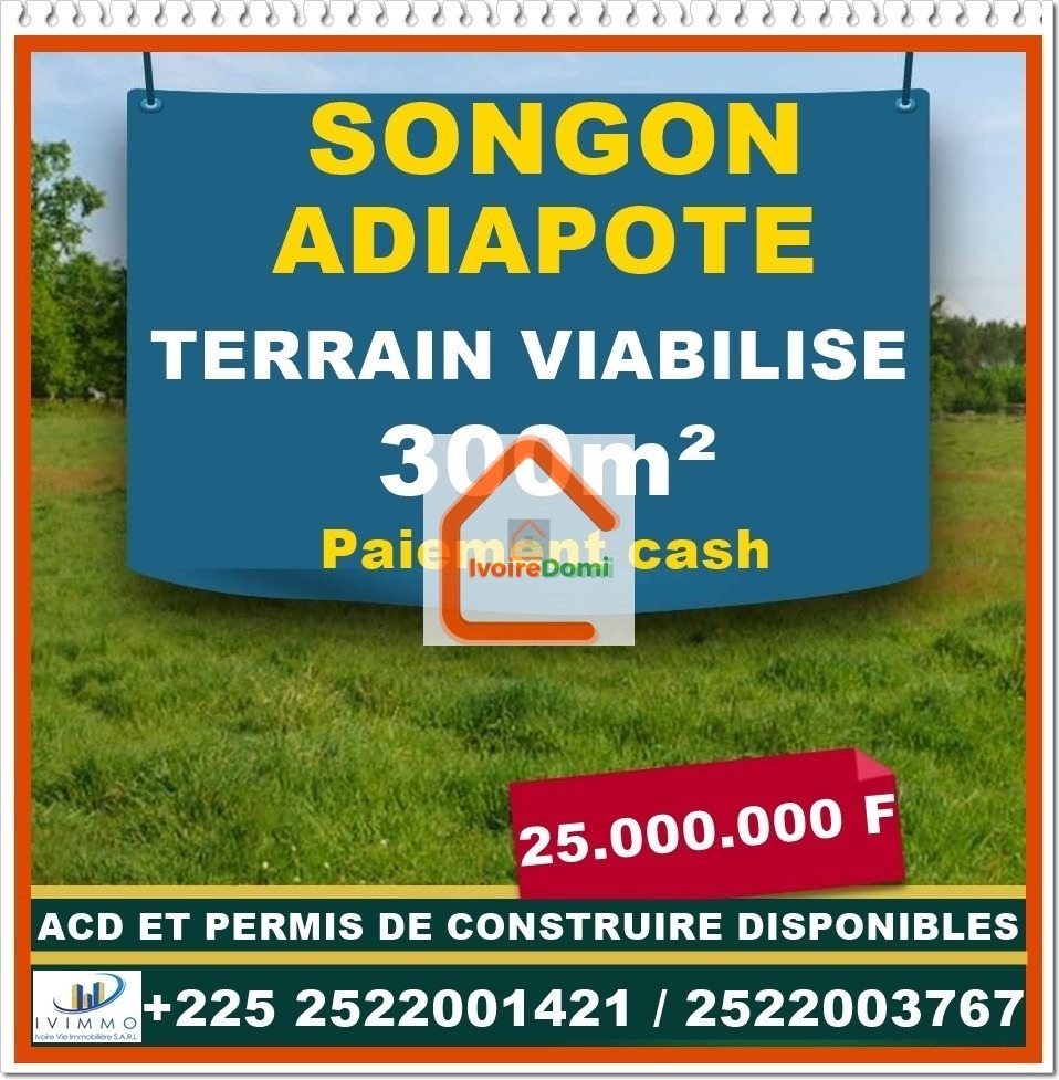 *Les terrains Approuvés à Yaou* : 300m²= 8 millions 400m2= 10 millions 500m²= 12 millions *ACD