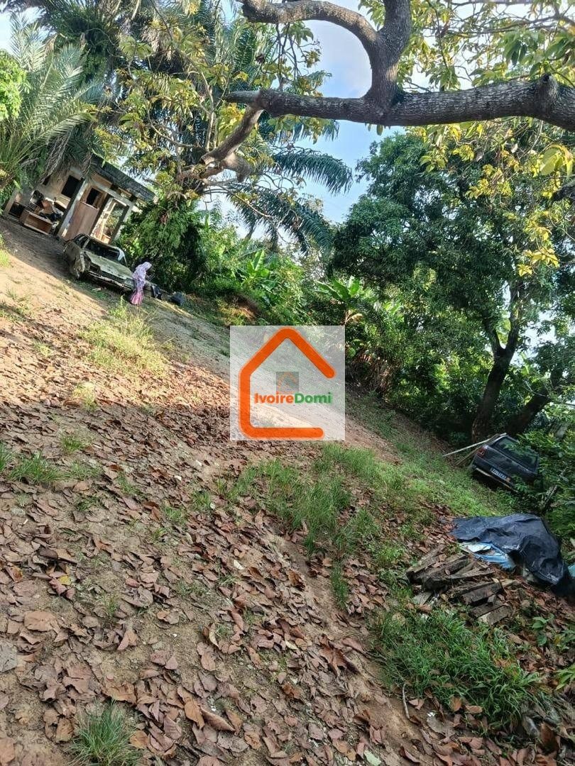 Terrain à vendre Cocody Angré 7ème tranche 6593 m2