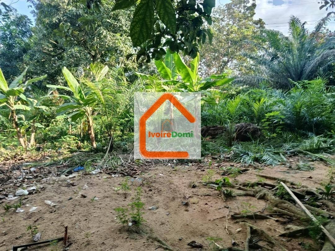 Terrain à vendre Cocody Angré 7ème tranche 6593 m2