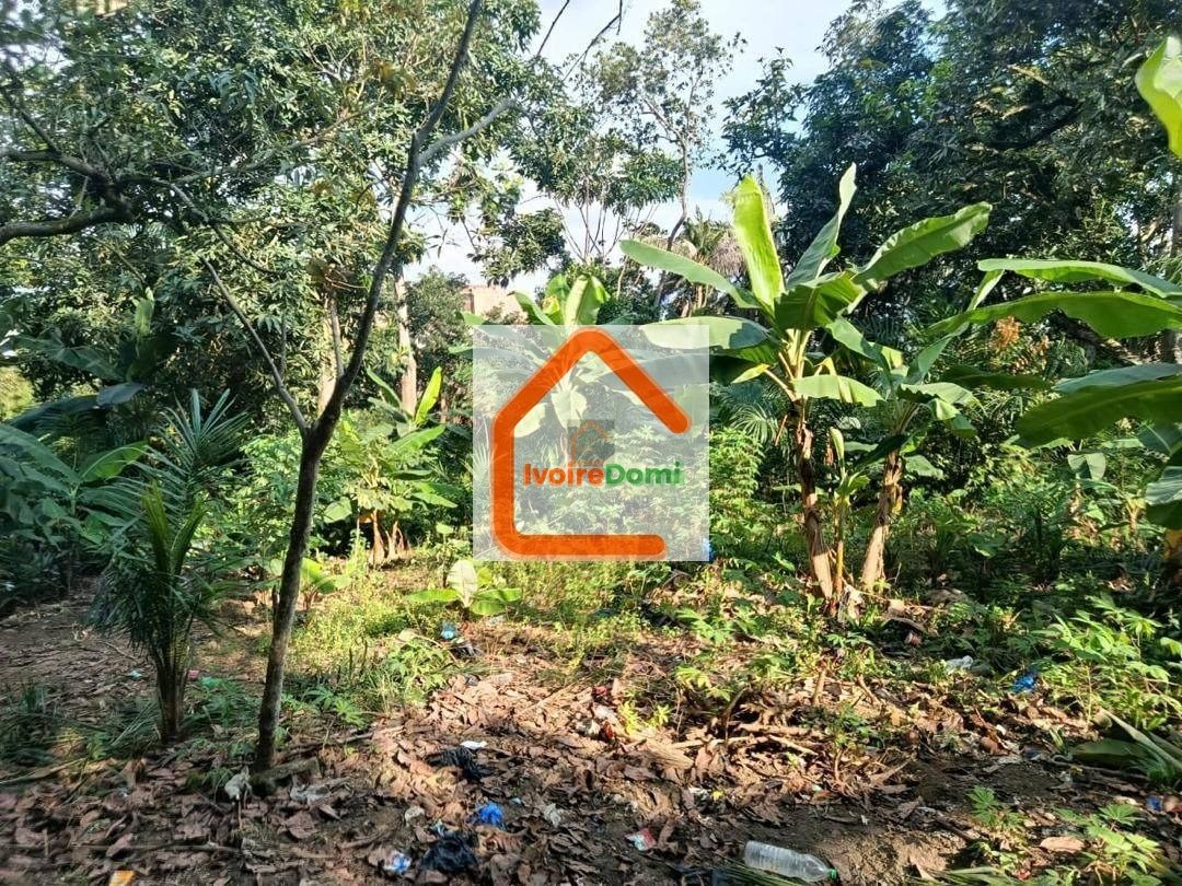 Terrain à vendre Cocody Angré 7ème tranche 6593 m2
