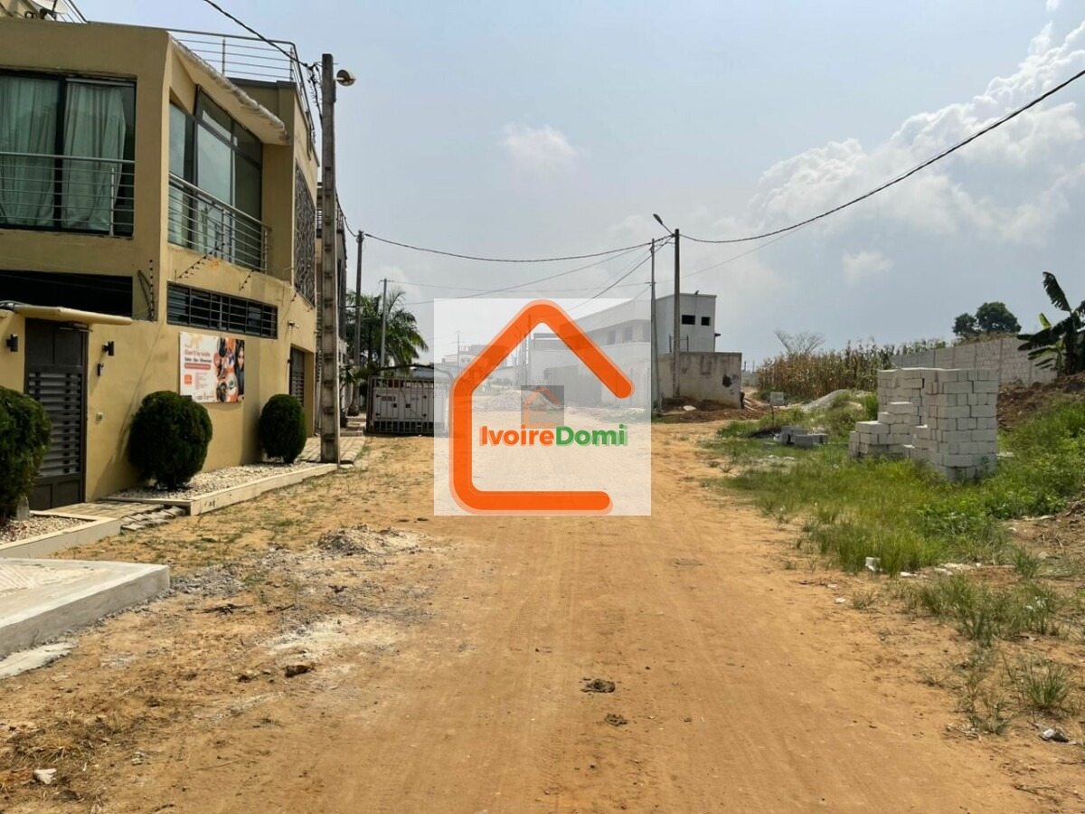 Vente de terrain à bingerville adjin site viabilisé avec toutes les commodités