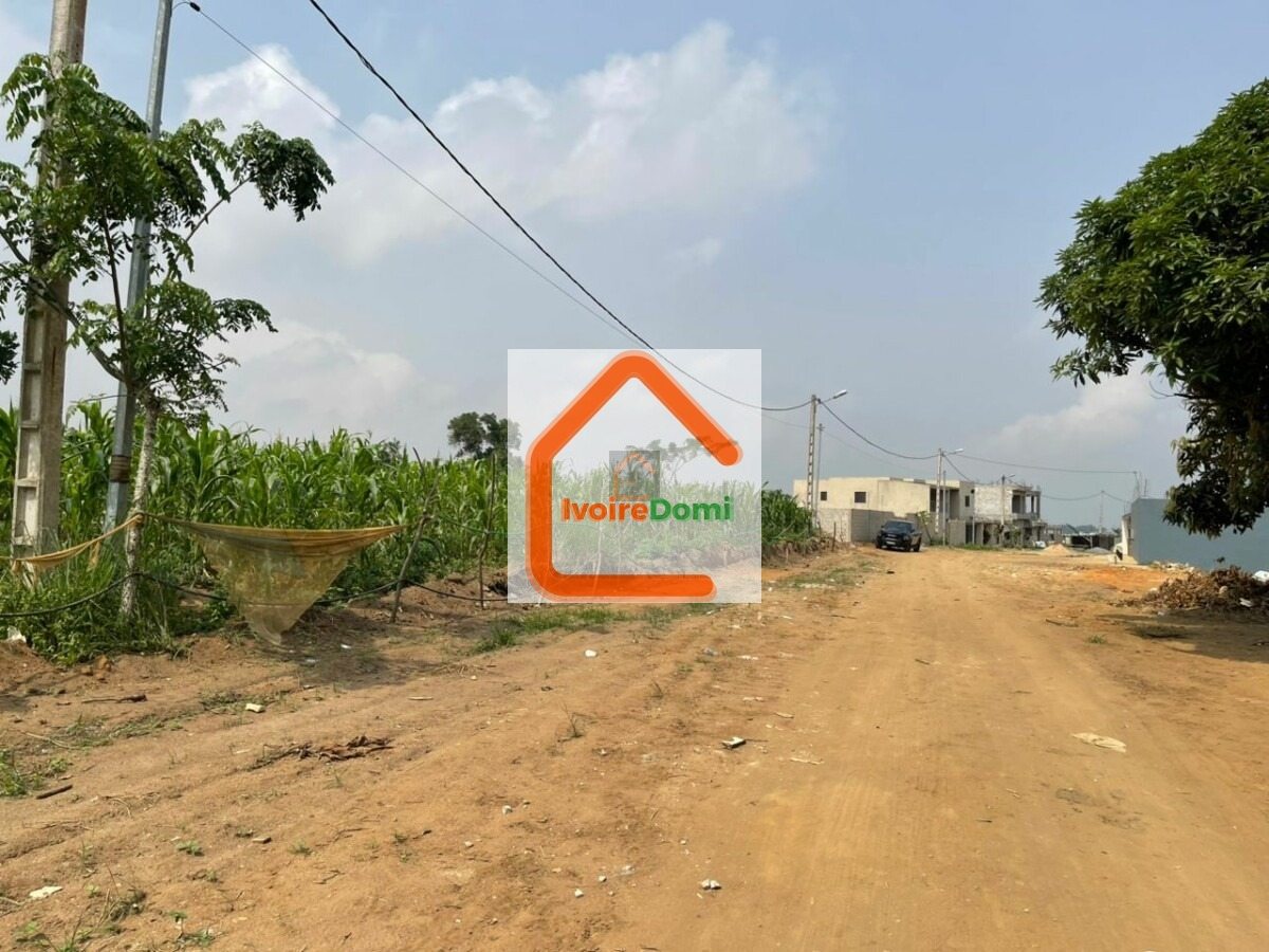 Vente de terrain à bingerville adjin site viabilisé avec toutes les commodités
