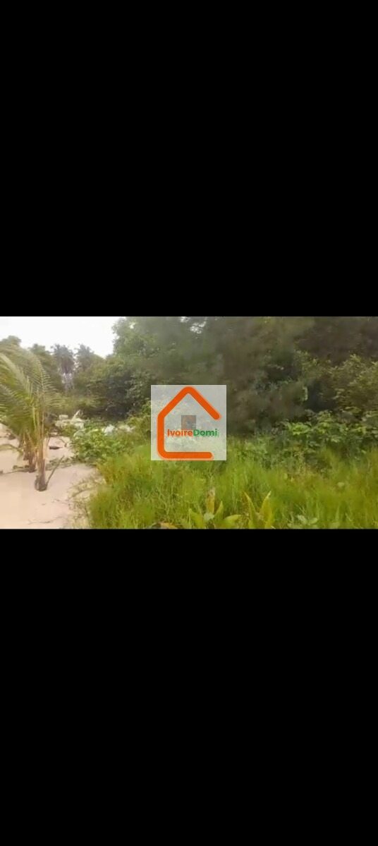 🌴 OPPORTUNITÉ À SAISIR – TERRAIN BORD LAGUNE 🌊