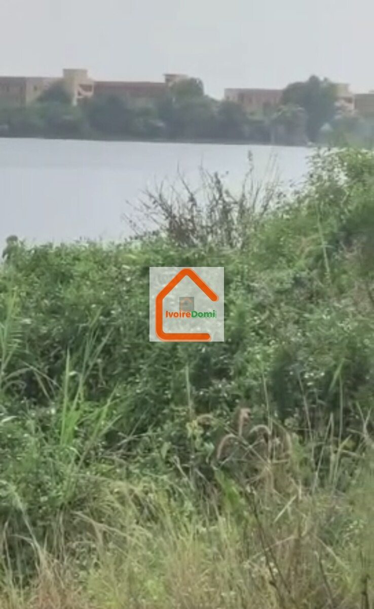Plusieurs terrains de 1000m2 à la baie des milliardaires