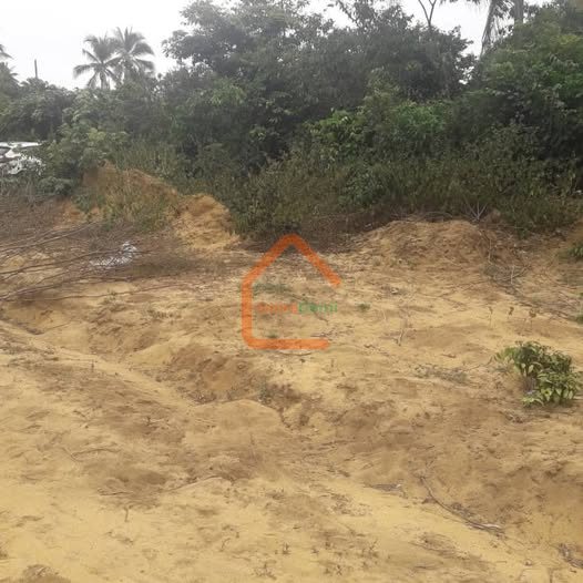 🏝️ OPPORTUNITÉ RARE — Terrain avec ACD à Jacqueville, Quartier Millionnaire Centre Est