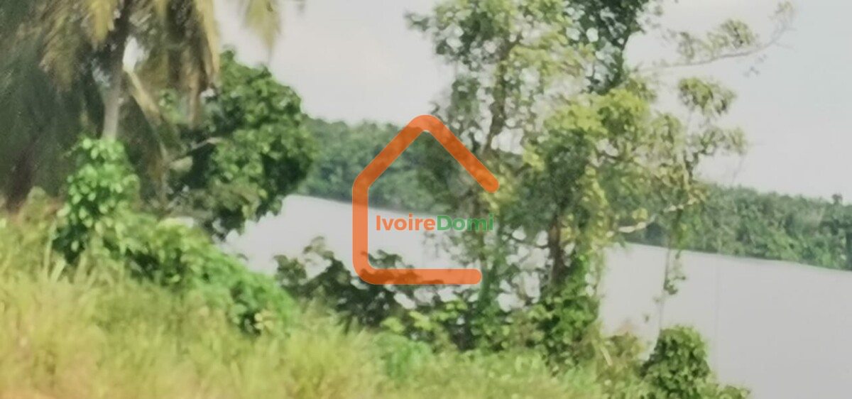 Terrain rare à Assinie 1, 5Ha avec ACD en vente en bordure de lagune