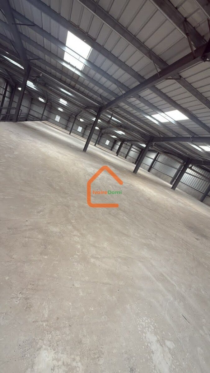Entrépôt 10.000 m2 + pont bascule -Sone portuaire d’abidjan