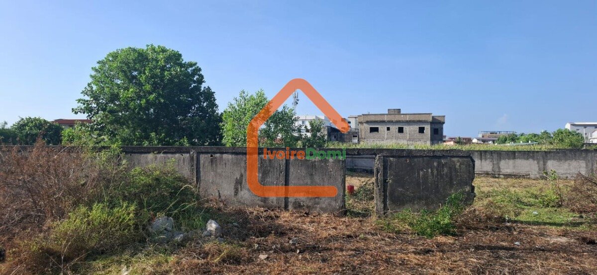 TERRAINS DE 800m² EN VENTE 📍 BASSAM, Quartier Mockeville
