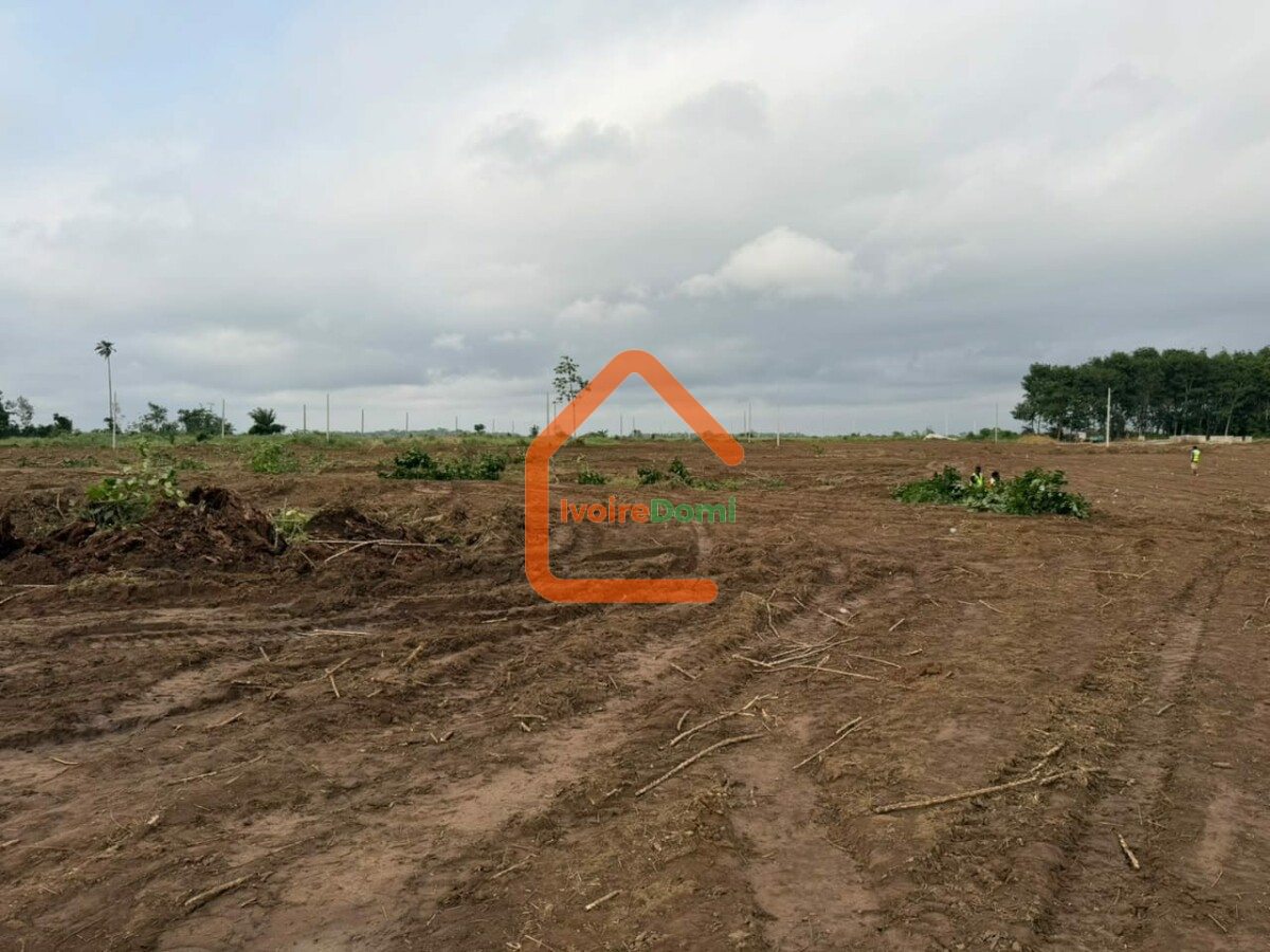400m2 en bordure de voie Y4 non loin du carrefour jacqueville