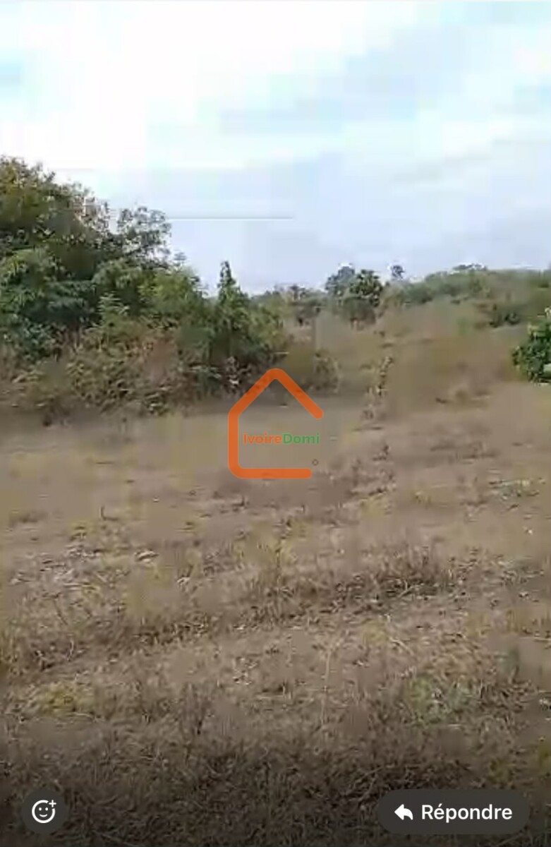 Vente d’un Terrain de 1097 m2 a yamoussoukro