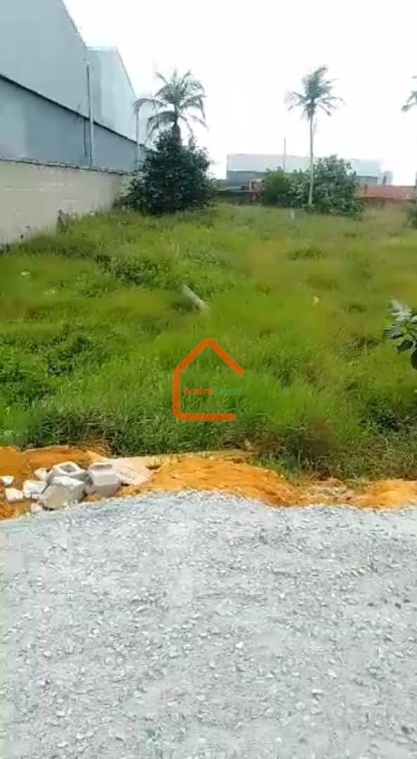 BONNE AFFAIRE/TERRAIN STRATEGIQUE EN VENTE/AUTOROUTE DE BASSAM à 120 m du goudron