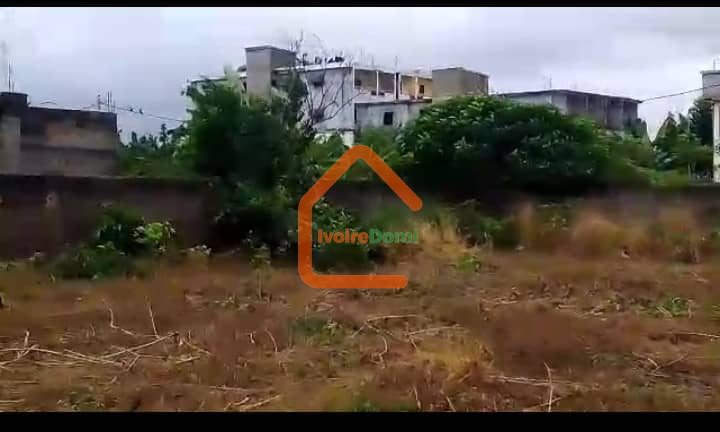 VENTE DE TERRAIN A SONGON INSTITUT PASTEUR/ CARREFFOUR ECOLE