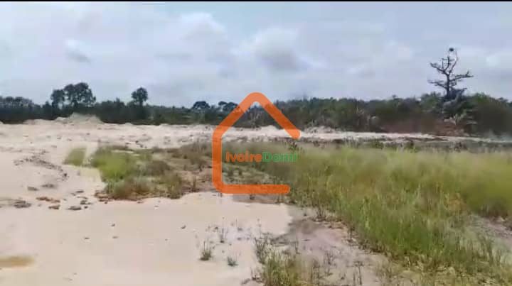 A VENDRE TERRAIN DE 6O HECTARES PIEDS DANS L’EAU AVEC ACD GRAND BASSAM MOTOBE