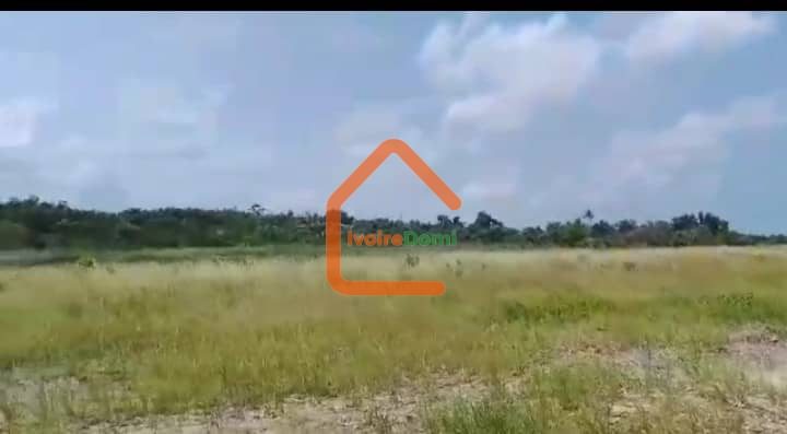 A VENDRE TERRAIN DE 6O HECTARES PIEDS DANS L’EAU AVEC ACD GRAND BASSAM MOTOBE