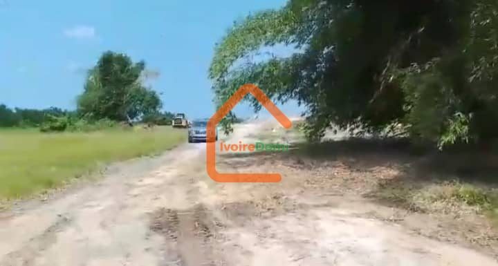 A VENDRE TERRAIN DE 6O HECTARES PIEDS DANS L’EAU AVEC ACD GRAND BASSAM MOTOBE