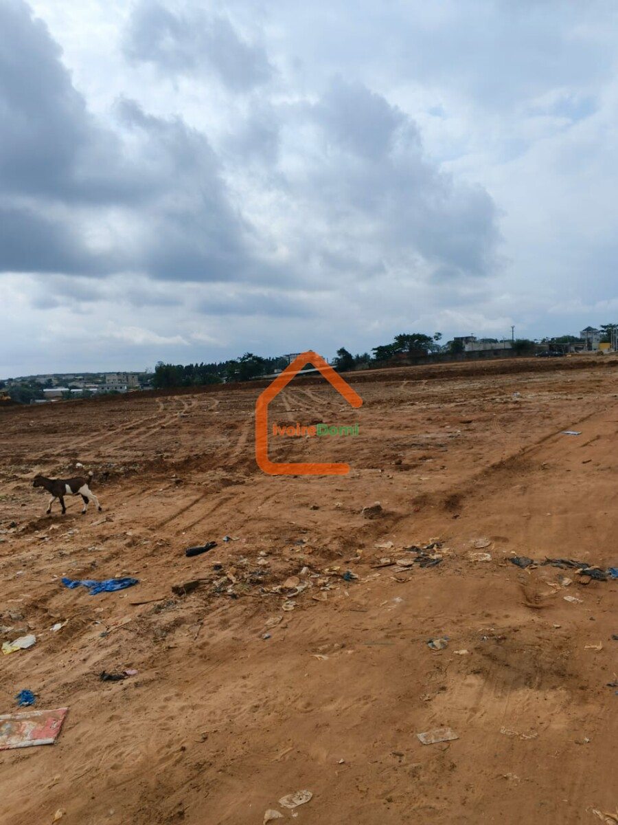 PARTENARIAT CONSTRUCTION SONGON BIMBRESSO