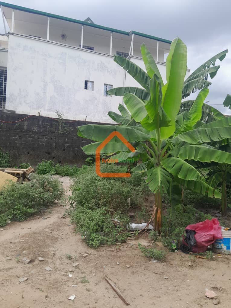 EN VENTE TERRAIN (RIVIERA MBADON vers l’antenne)