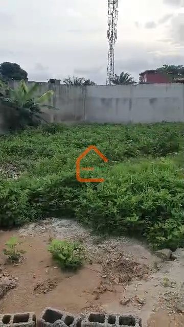TERRAIN À VENDRE – BINGERVILLE NGOTTO