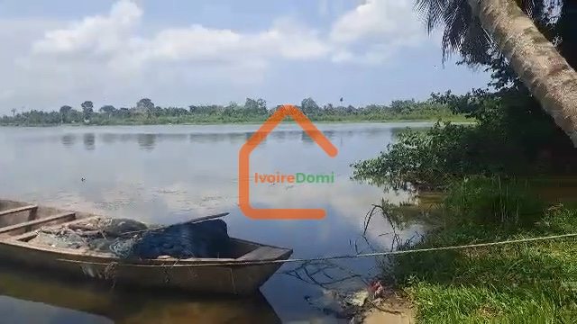 À VENDRE – 2 HECTARES EN BORDURE DE LAGUNE À JACQUEVILLE