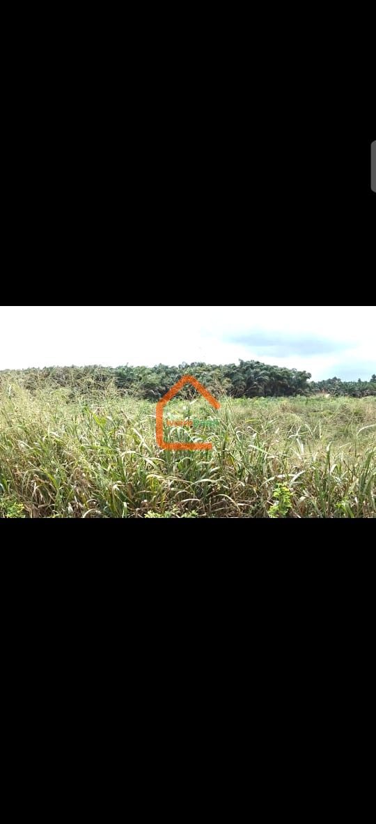 Terrain 500m2 à Adiaké près de l’université