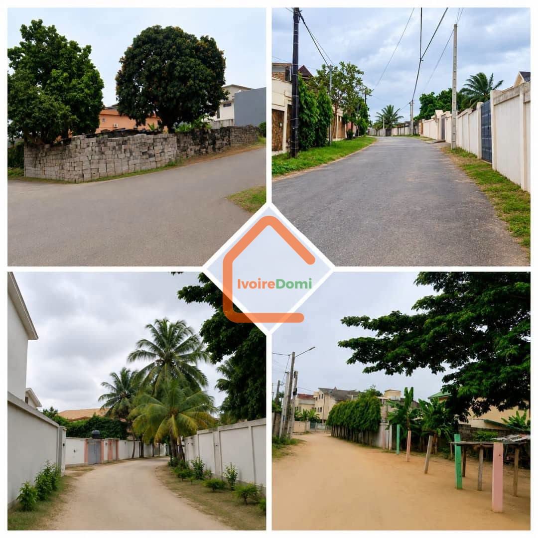 TERRAIN EN VENTE RIVIERA PALMERAIE