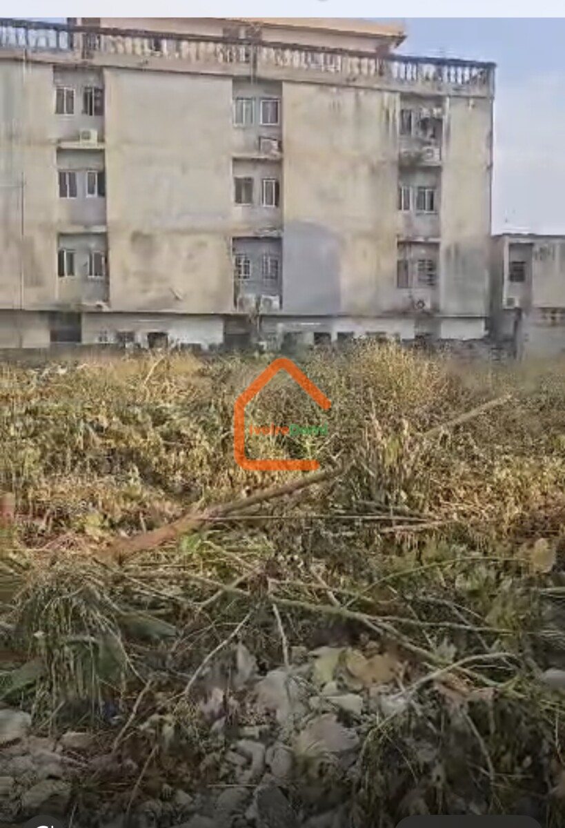 terrain de 600M2 en vente à angre