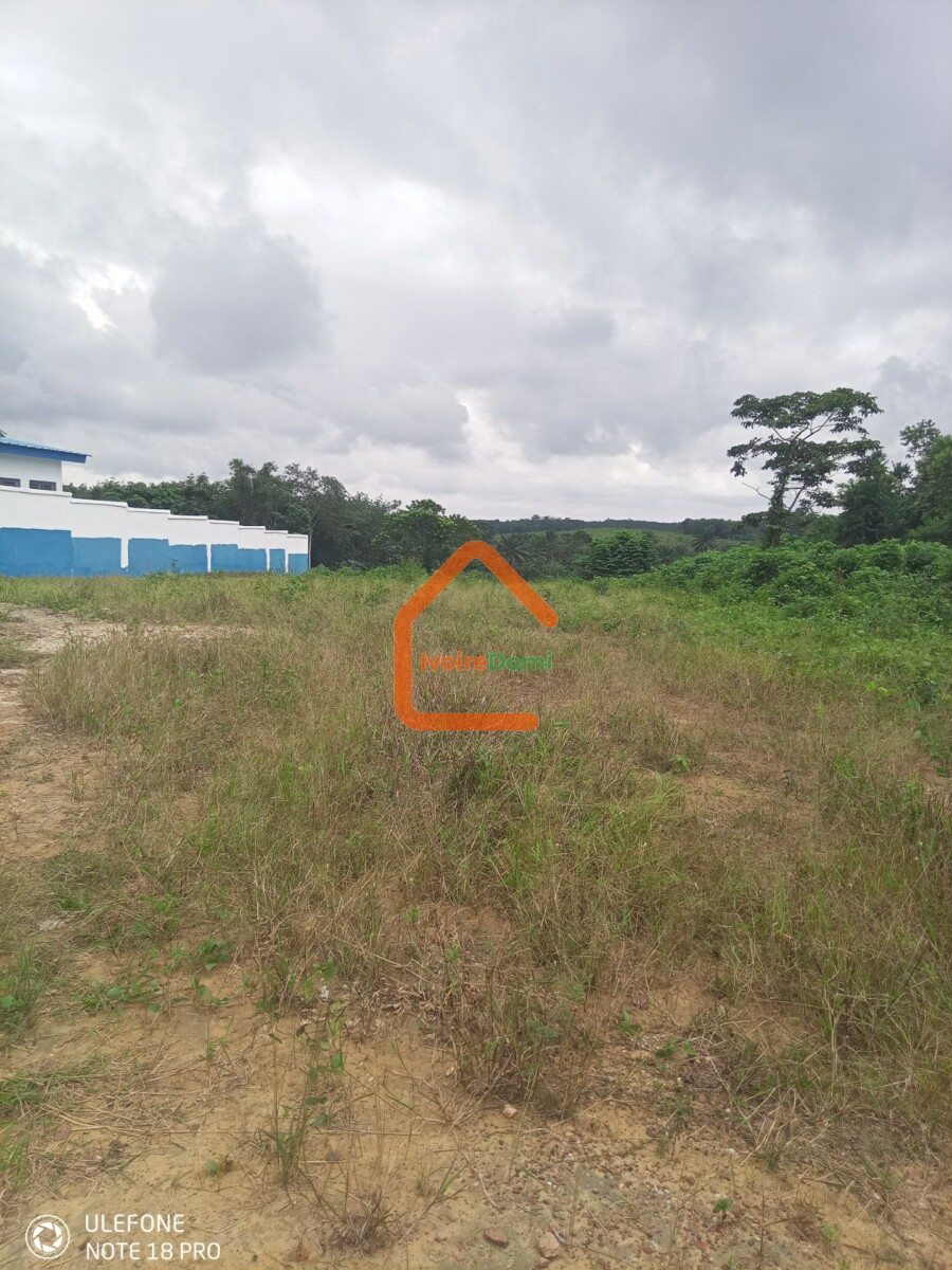 De terrain à Azaguié