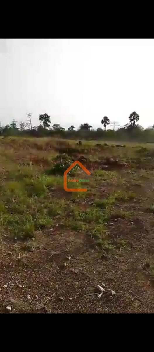 Terrain disponible à YAMOUSSOUKRO à Sakiaré