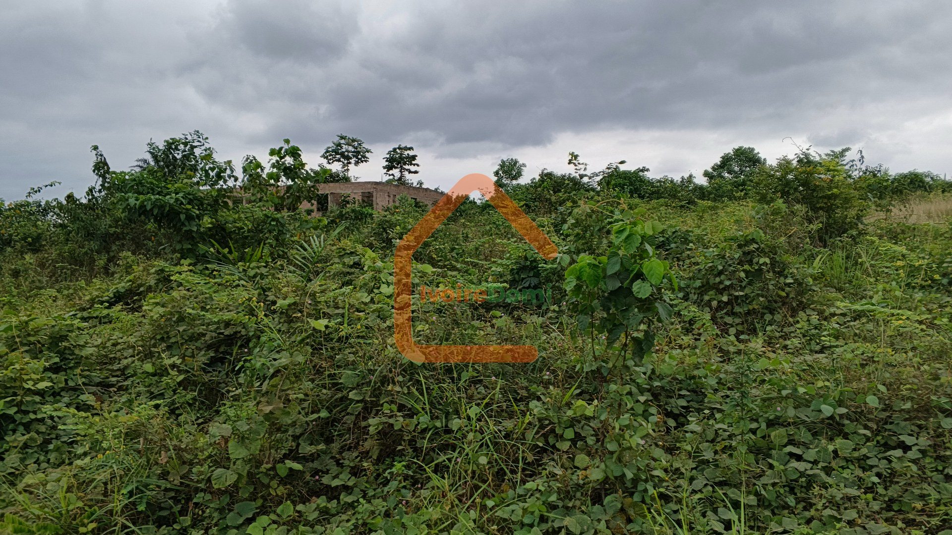 Terrain de 520m2 avec ACD a 20 mn de angré à vendre
