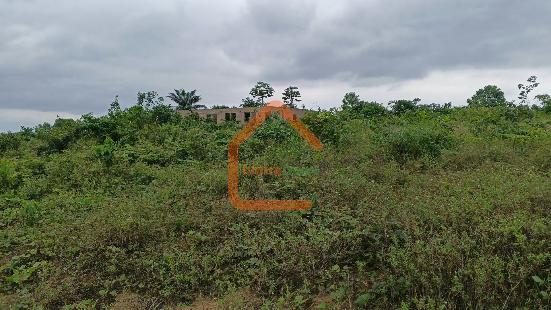 Terrain de 520m2 avec ACD a 20 mn de angré à vendre
