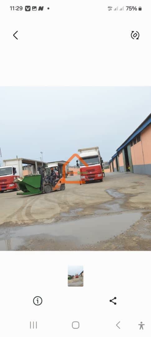 À VENDRE – Usine de transformation de cacao et café San Pedro Opportunité industrielle