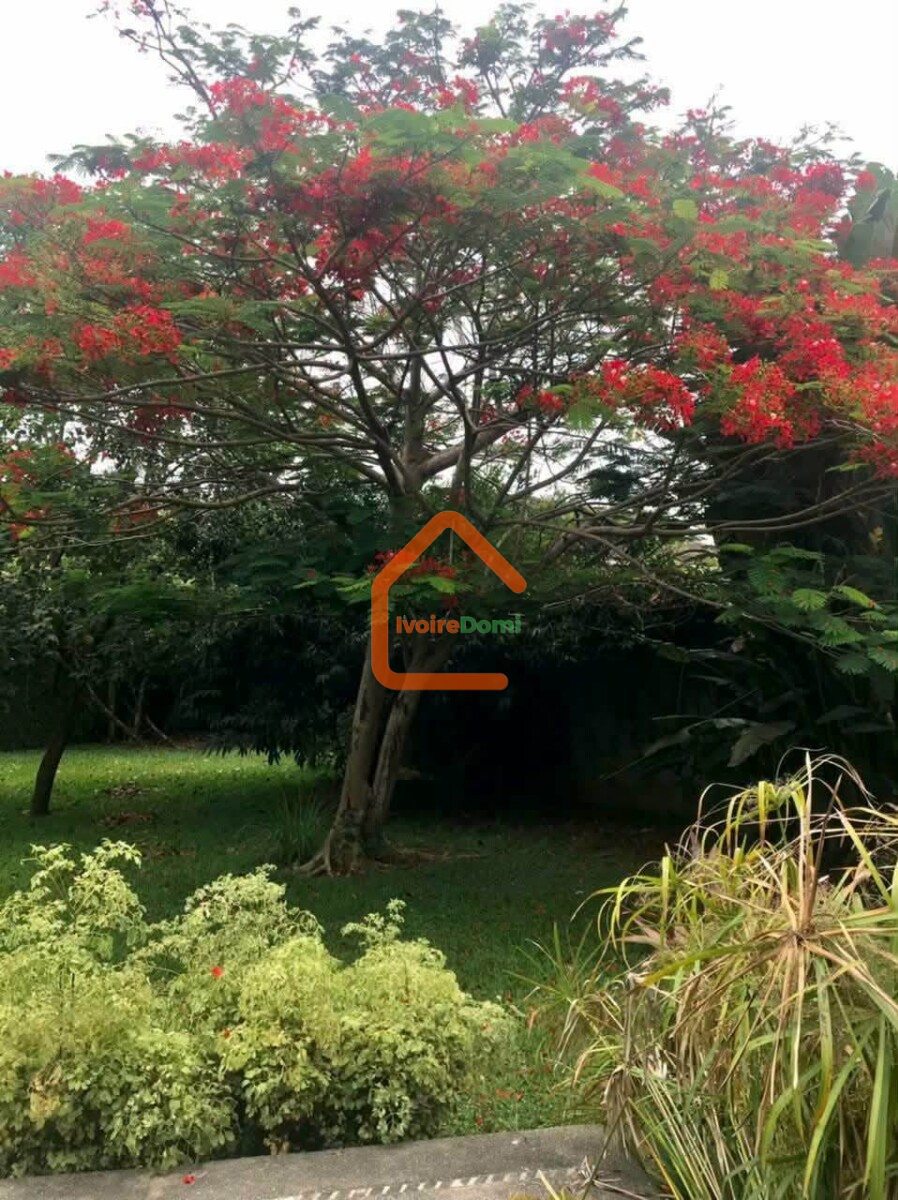 Annonce immobilière Côte d’Ivoire
