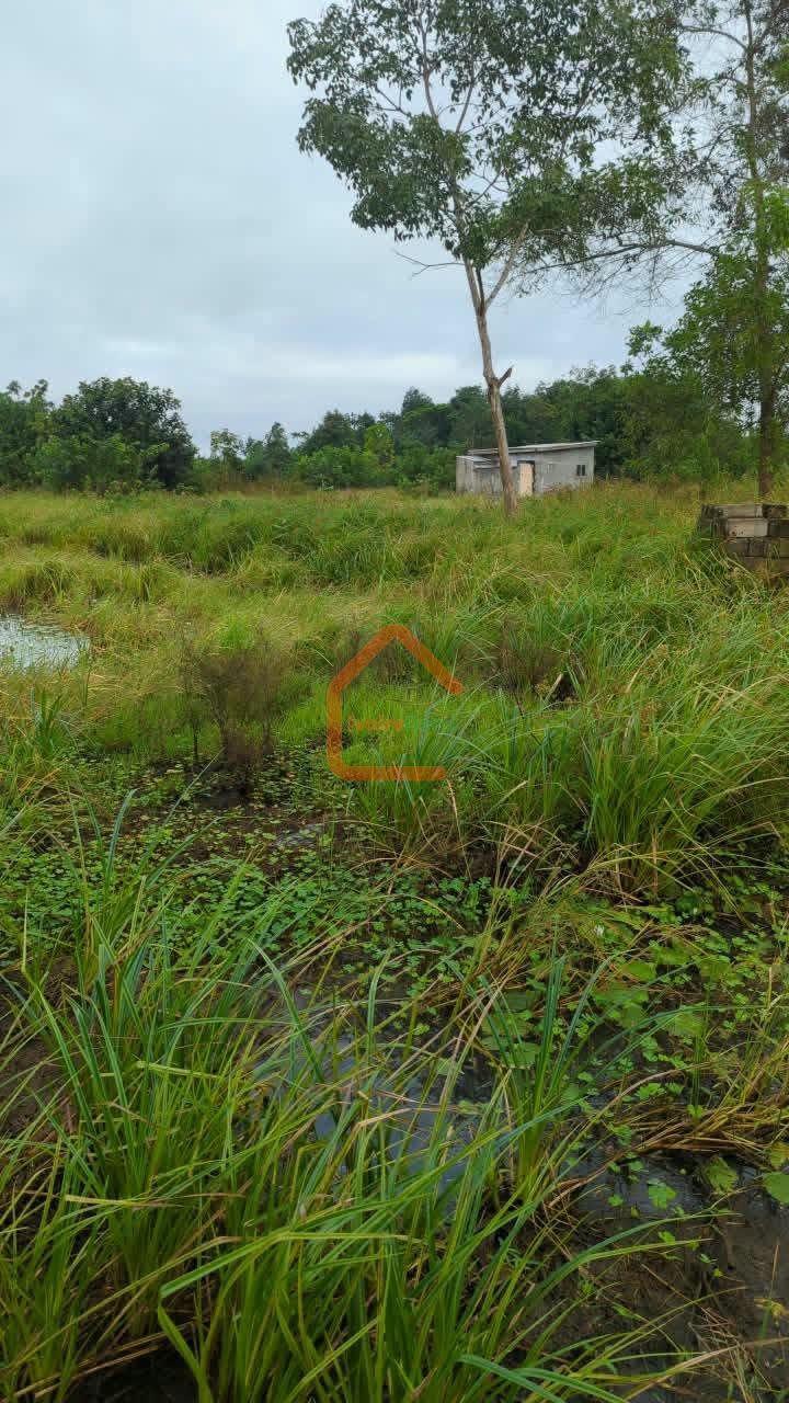 TERRAIN EN VENTE