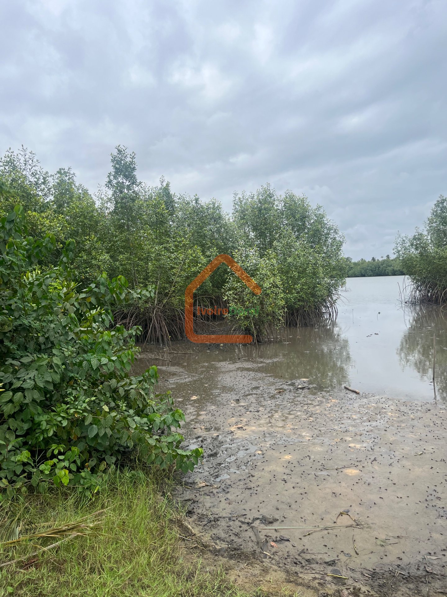 TERRAIN EN VENTE