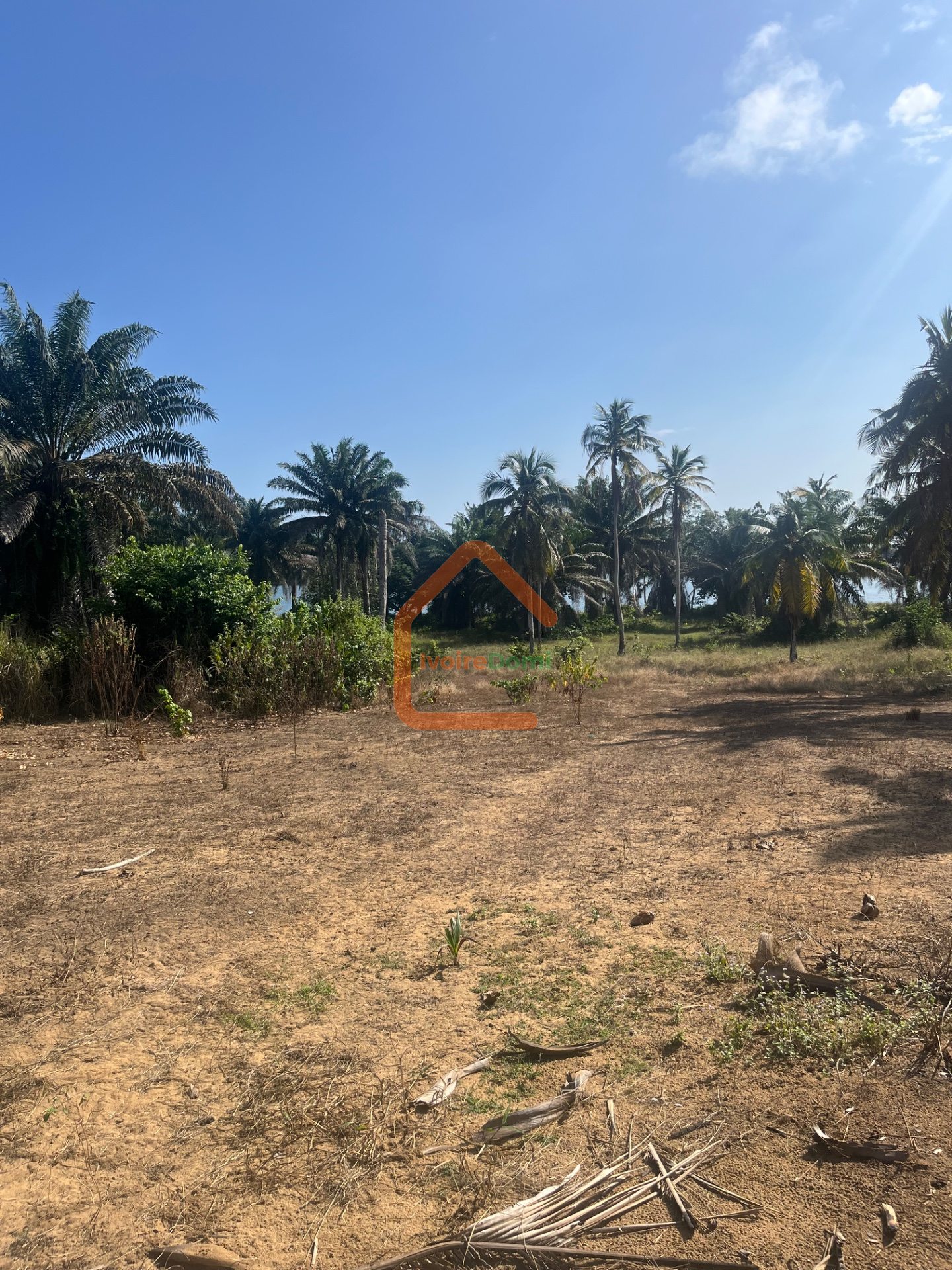 TERRAIN EN VENTE