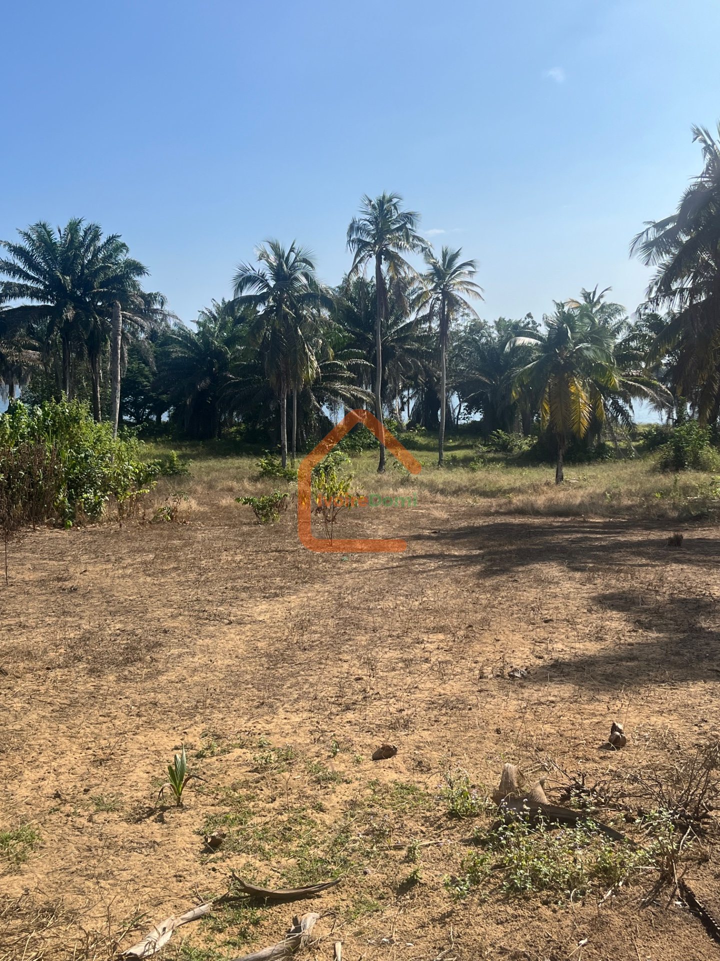 TERRAIN EN VENTE