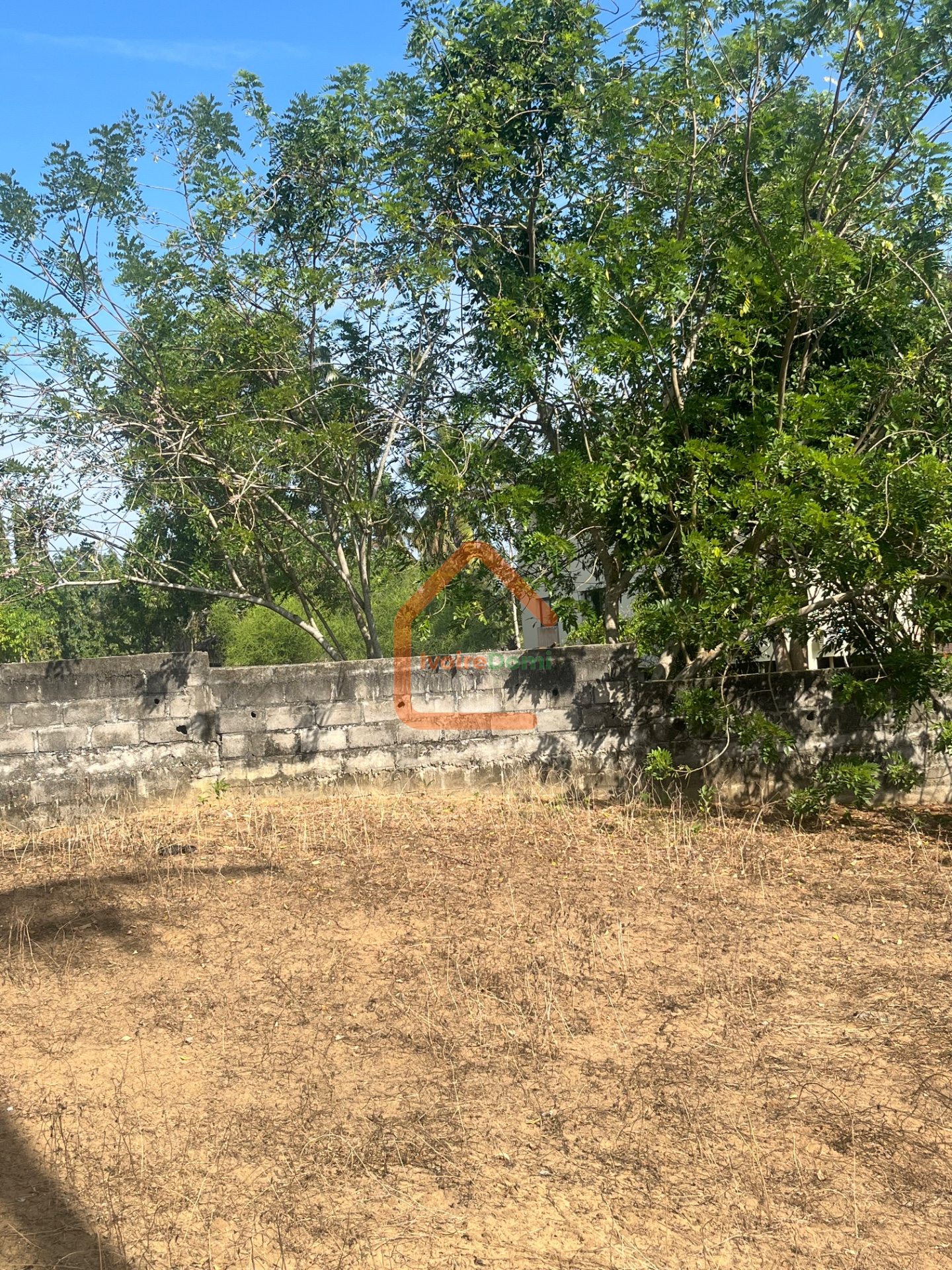TERRAIN EN VENTE