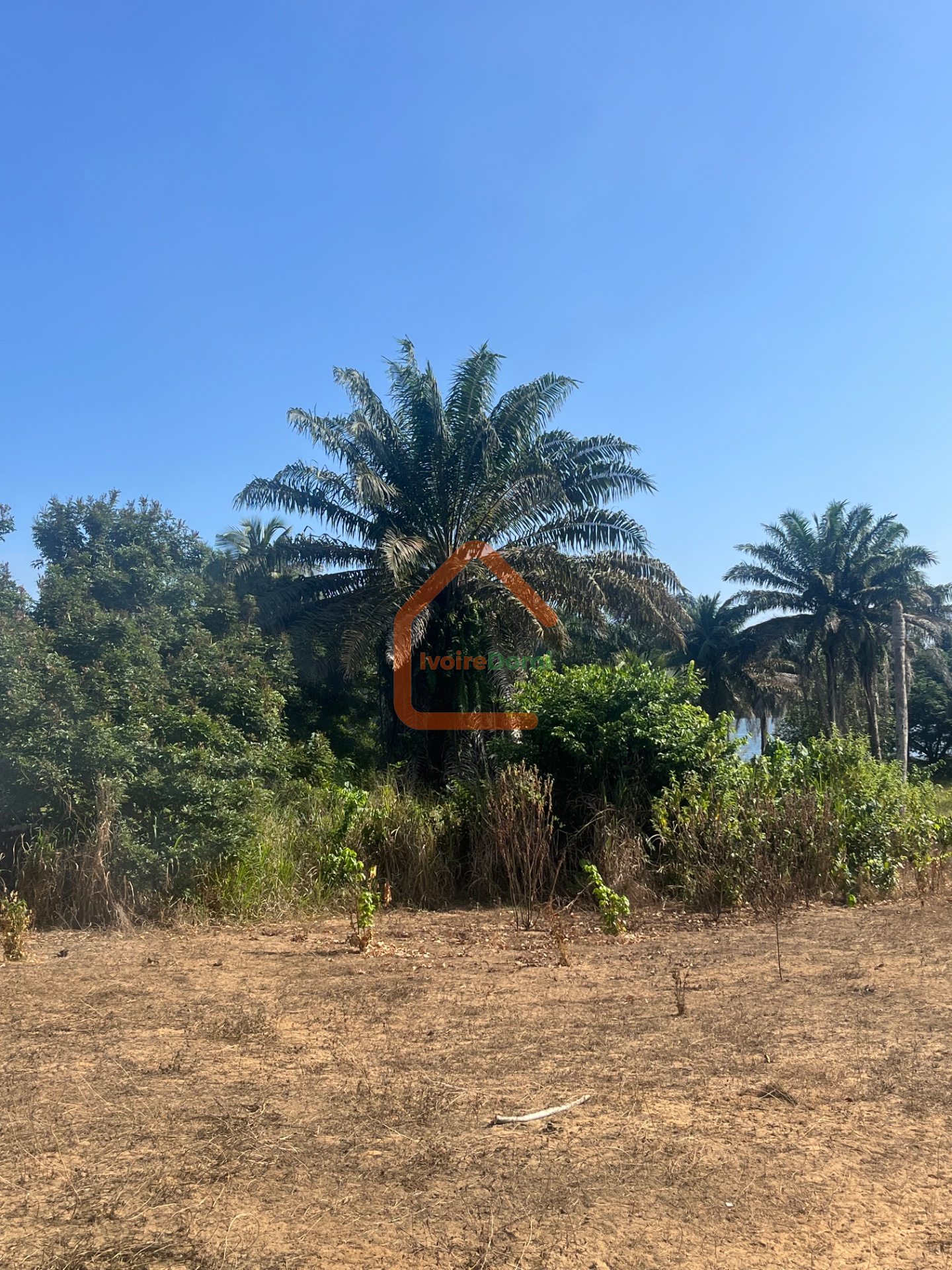 TERRAIN EN VENTE
