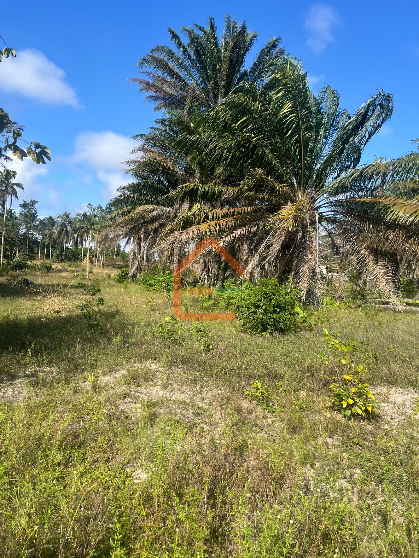 TERRAIN EN VENTE